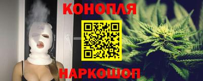 Альфа ПВП Бийск