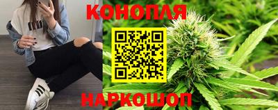Альфа ПВП Бийск