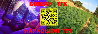 Альфа ПВП Бийск