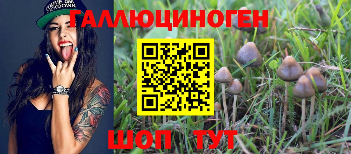 Псилоцибиновые грибы MAGIC MUSHROOMS Карпинск