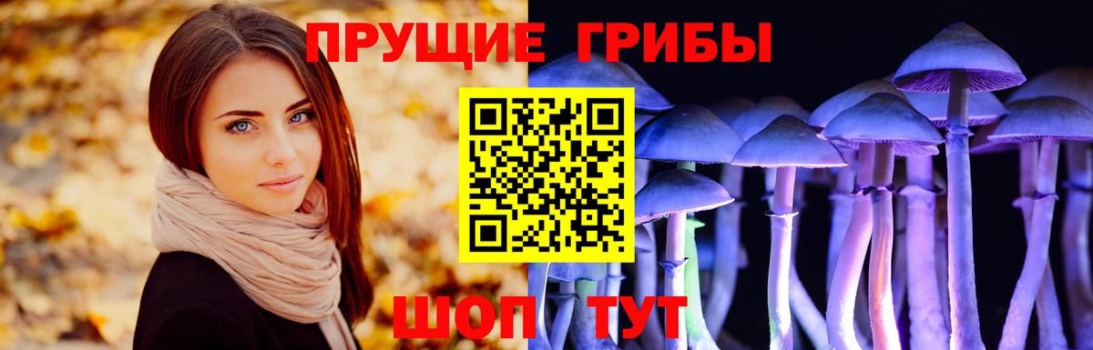 Галлюциногенные грибы GOLDEN TEACHER  Вход с VPN  Карпинск 